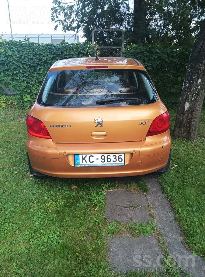 Peugeot 307 2006 photo 2