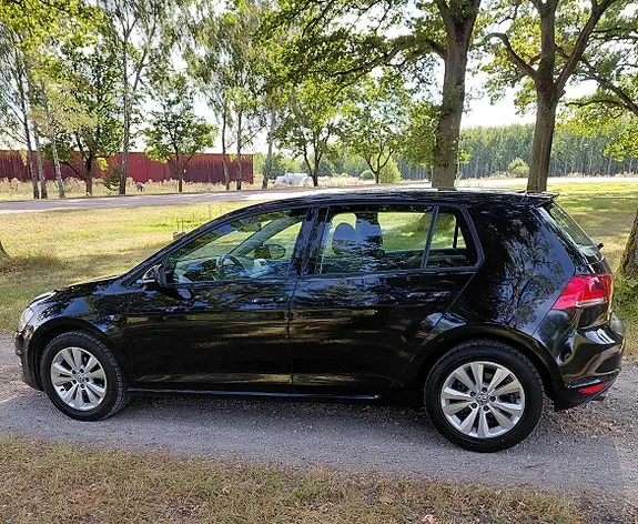 Volkswagen Golf Vii 2015 photo 4