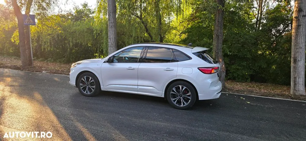 Ford Kuga 2020 photo 3