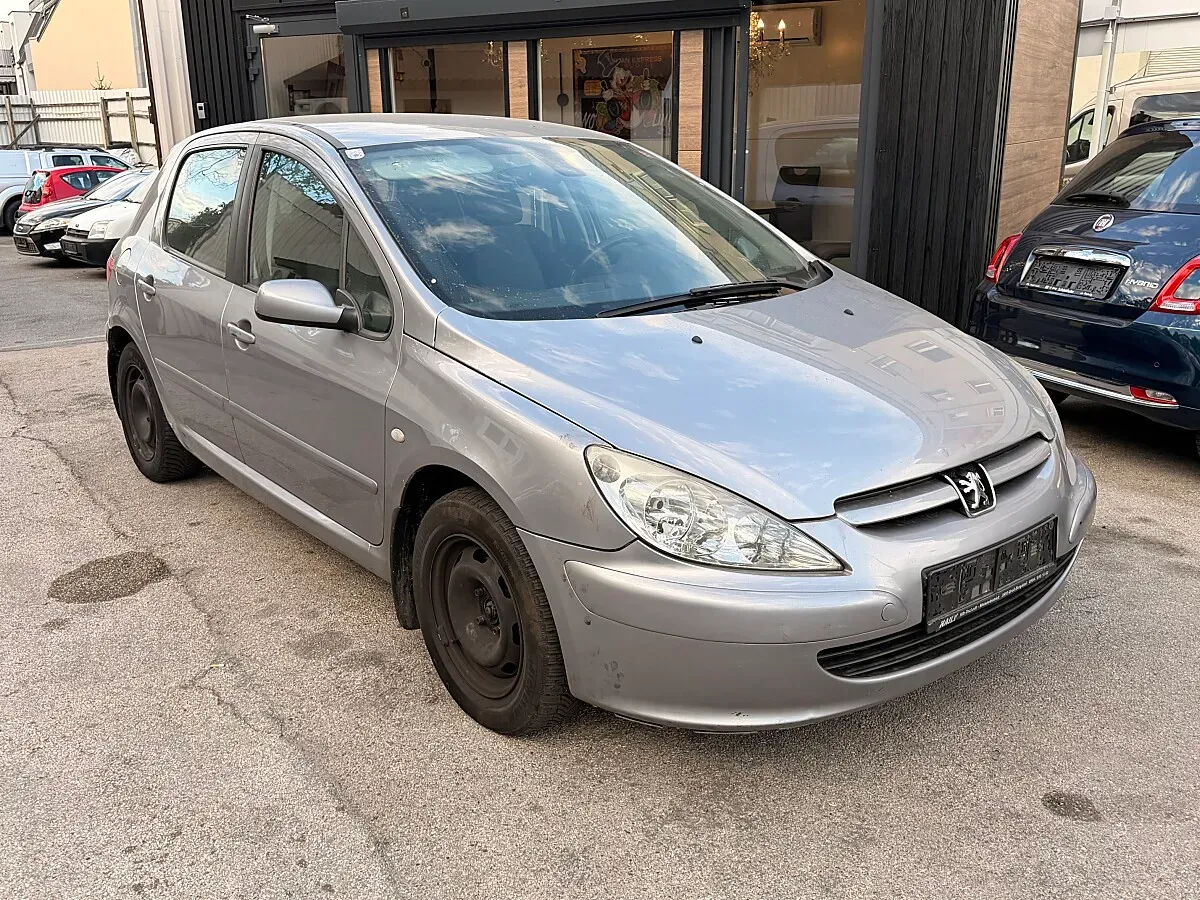 Peugeot 307 2005 photo 2