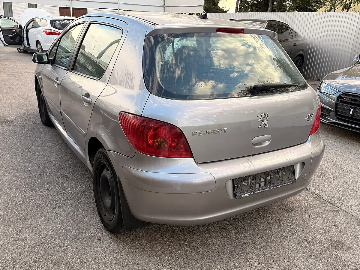 Peugeot 307 2005 photo 3
