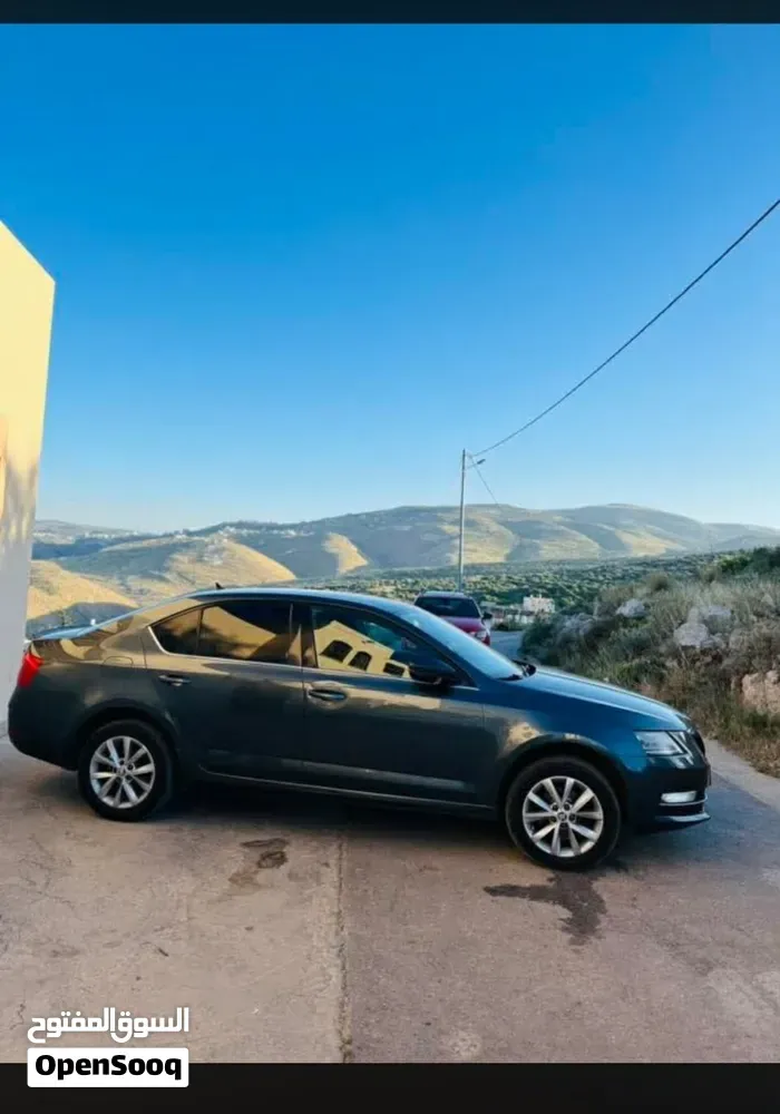Skoda Octavia 2019 photo 2