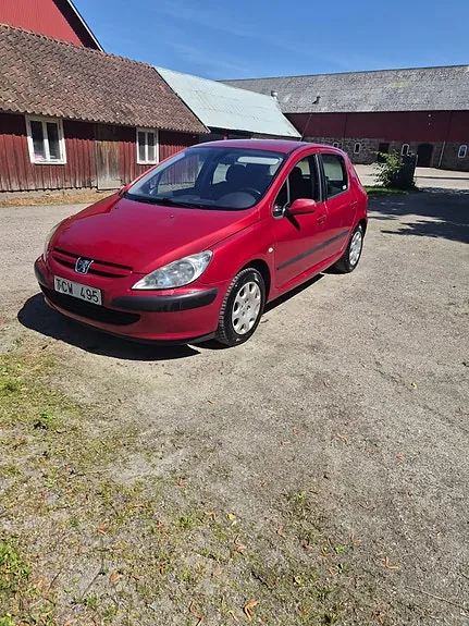 Peugeot 307 2002 photo 3
