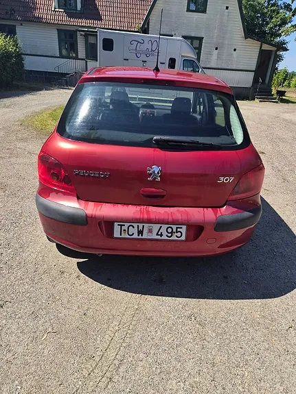 Peugeot 307 2002 photo 2