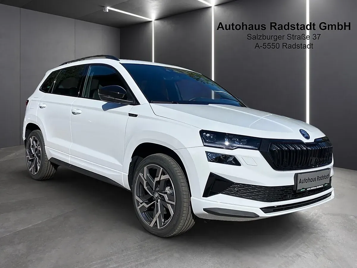 Skoda Karoq 2026 photo 2