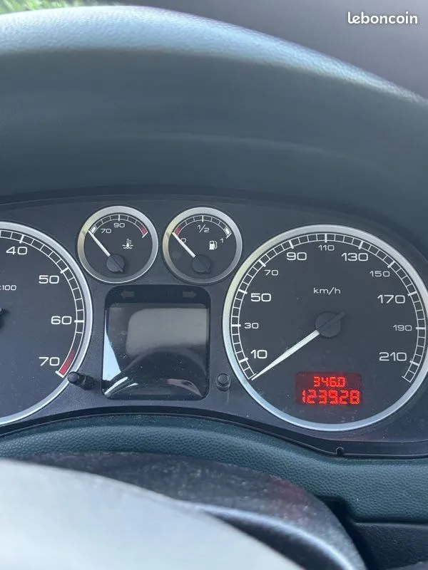 Peugeot 307 2003 photo 4