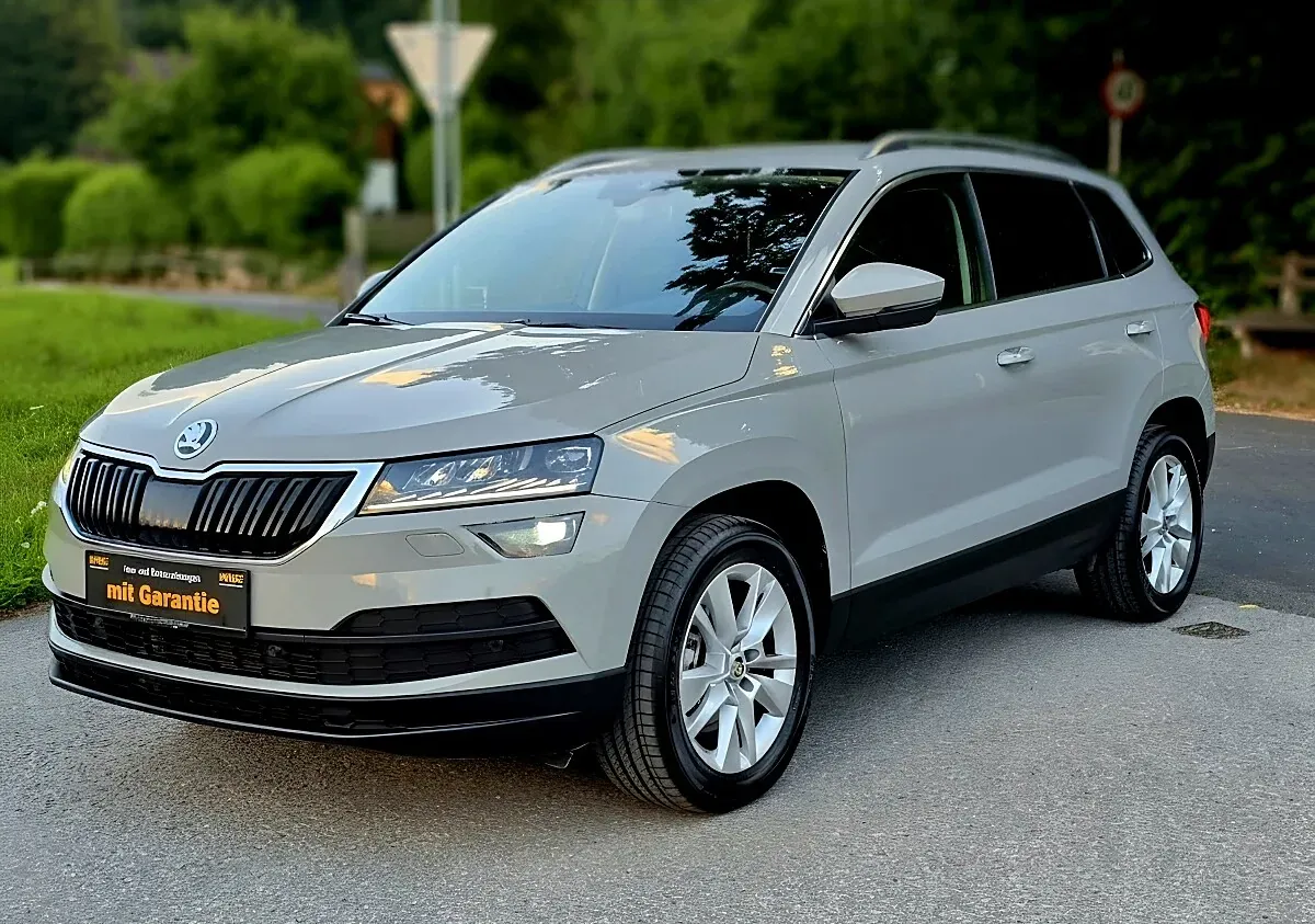 Skoda Karoq 2020 photo 3
