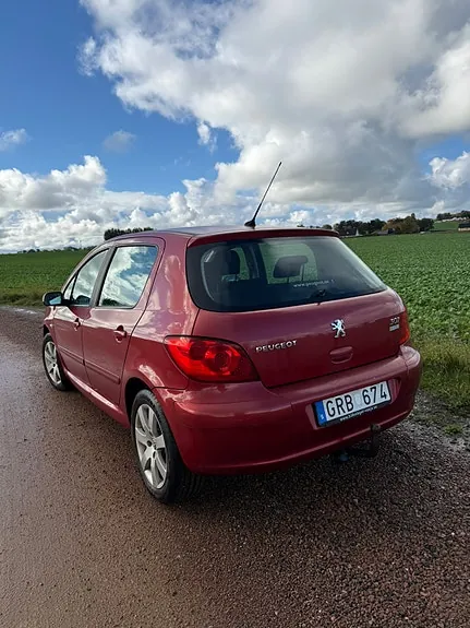 Peugeot 307 2008 photo 4