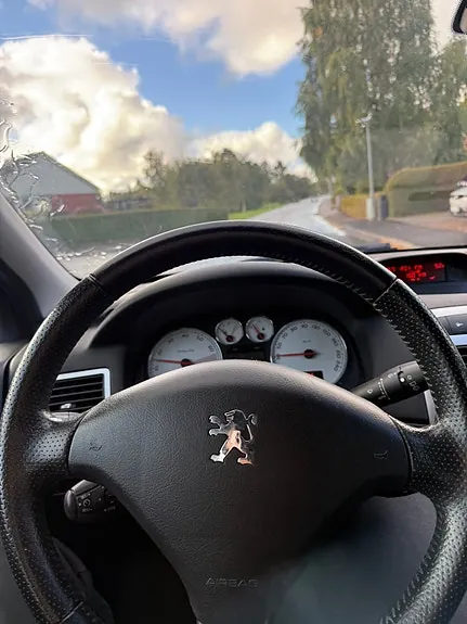 Peugeot 307 2008 photo 5