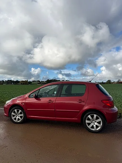 Peugeot 307 2008 photo 2