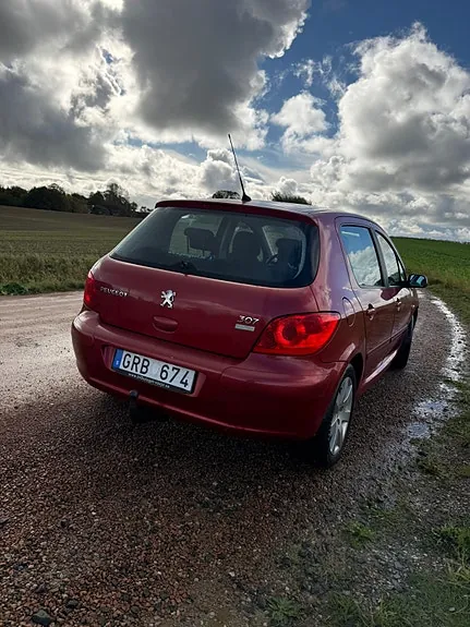 Peugeot 307 2008 photo 3