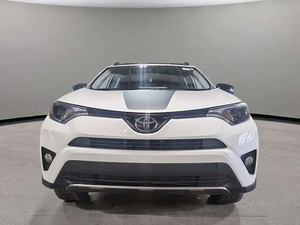 Toyota Rav4 2018 photo 2