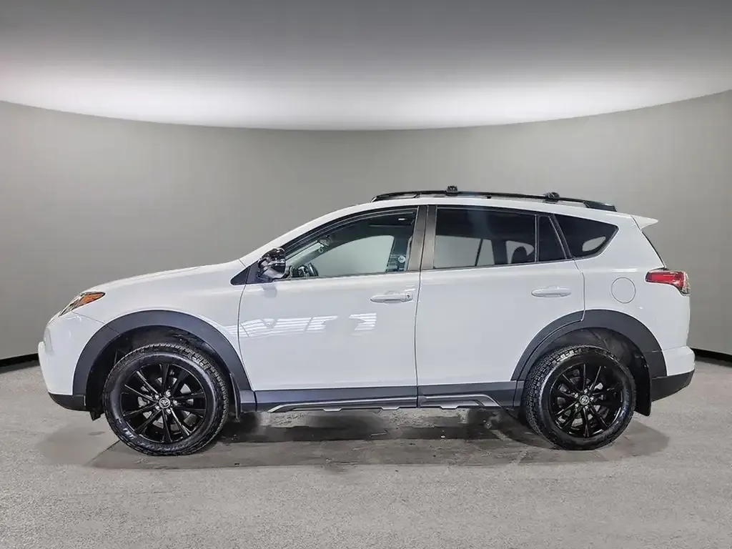 Toyota Rav4 2018 photo 3