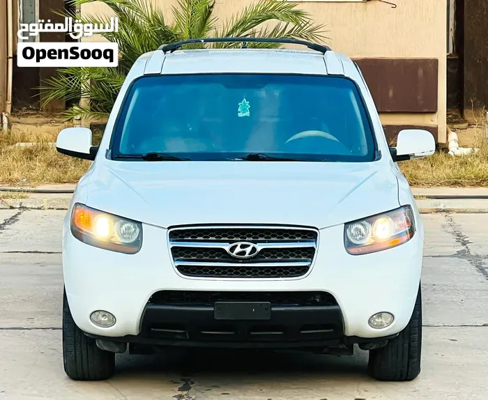 Hyundai Santa Fe 2009 photo 2