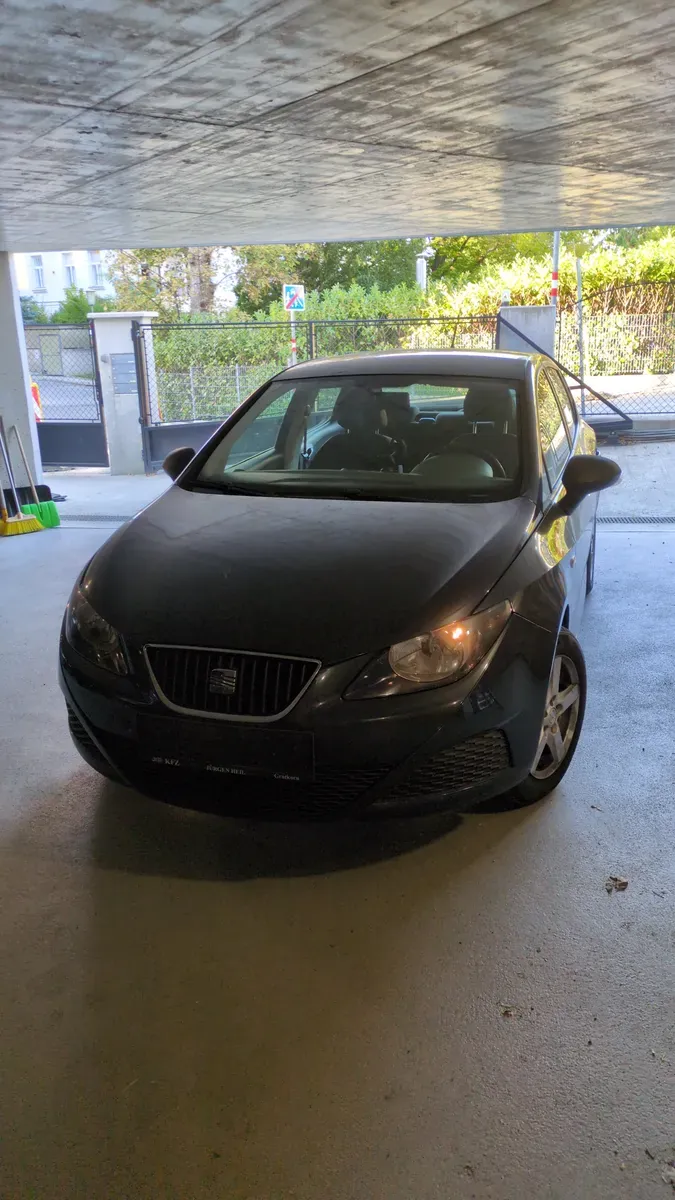 Seat Ibiza 2010 photo 2