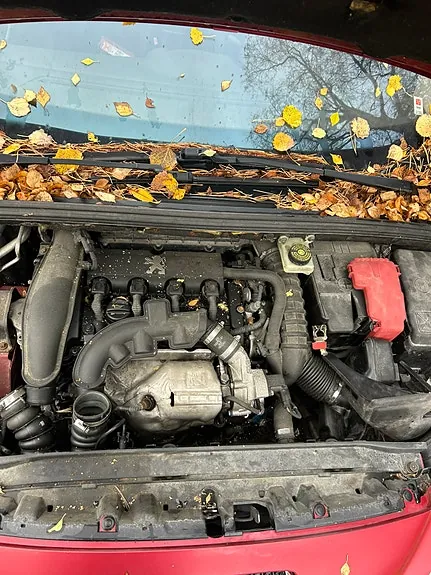 Peugeot 308 2008 photo 5