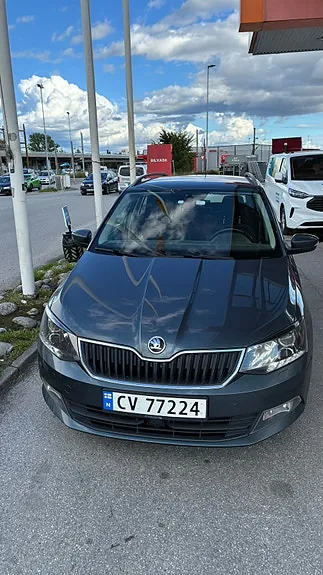 Skoda Fabia 2015 photo 2