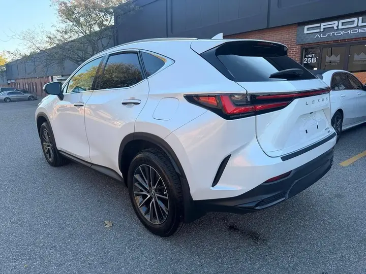 Lexus Nx 2025 photo 5