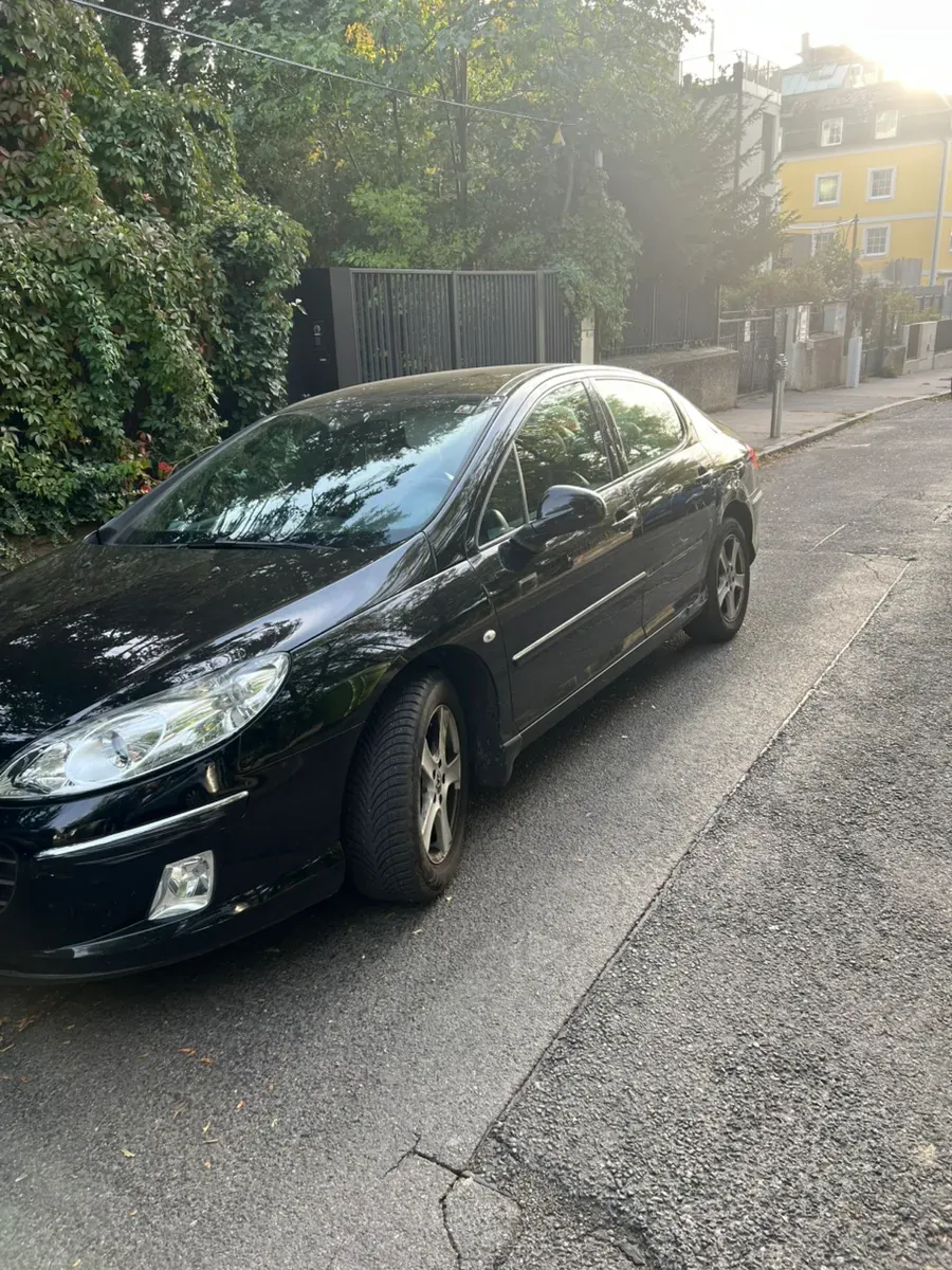 Peugeot 407 2010 photo 2