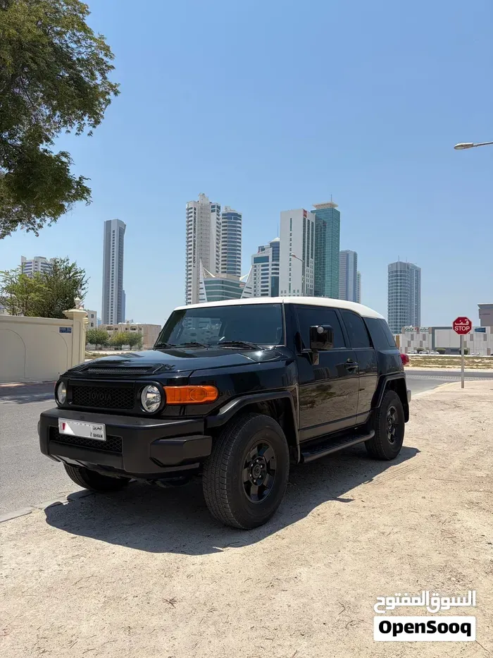 Toyota Fj 2010 photo 3
