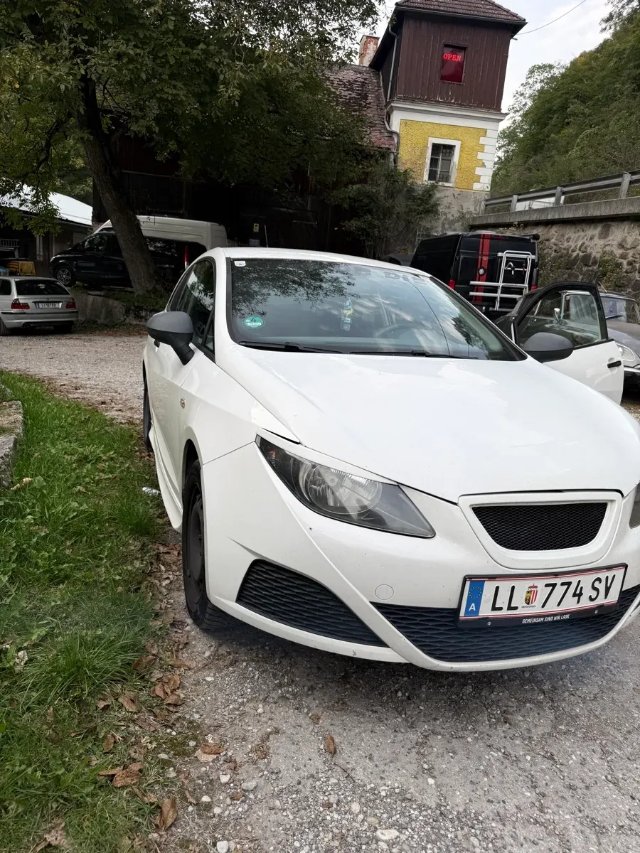 Seat Ibiza 2009 photo 2