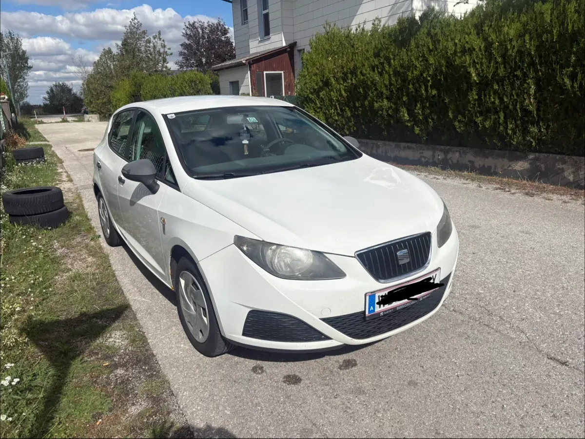 Seat Ibiza 2011 photo 2