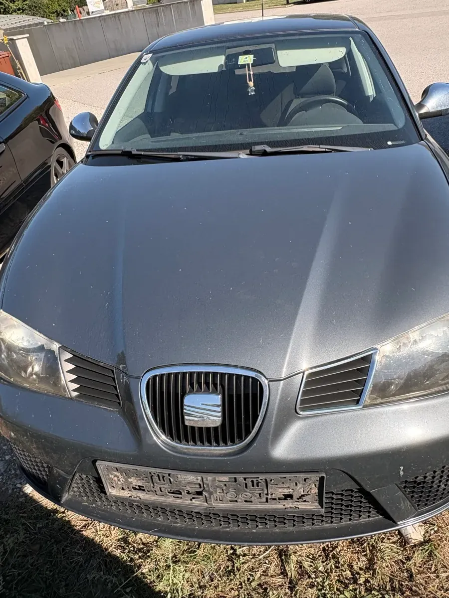 Seat Ibiza 2007 photo 3