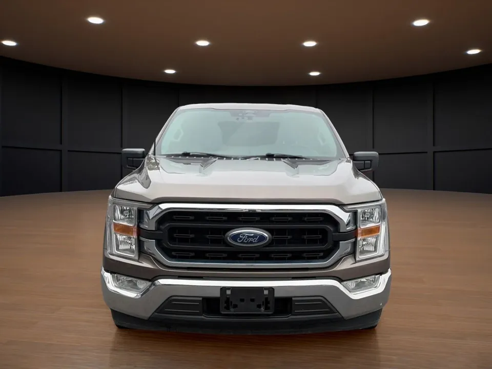 Ford F-150 2022 photo 3