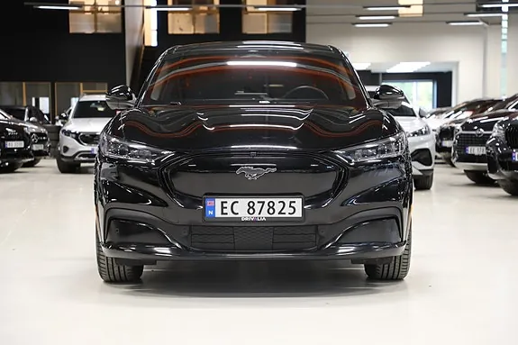 Ford Mustang Mach-E 2021 photo 3