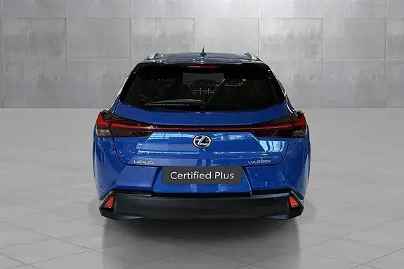 Lexus Ux300E 2021 photo 4