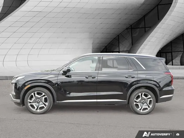 Hyundai Palisade 2024 photo 2