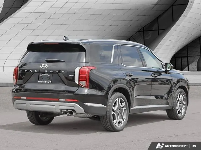 Hyundai Palisade 2024 photo 5