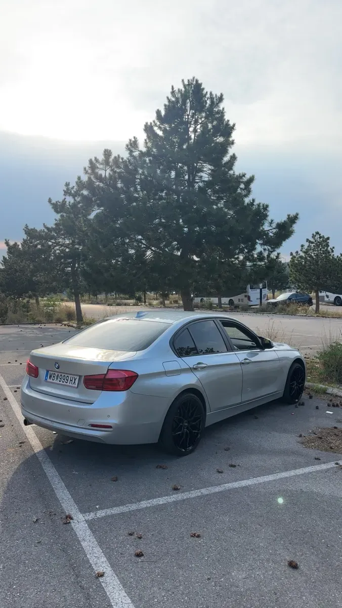 BMW 3 Series 2016 photo 3