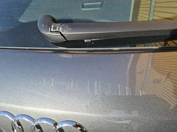 Audi Q3 2016 photo 5