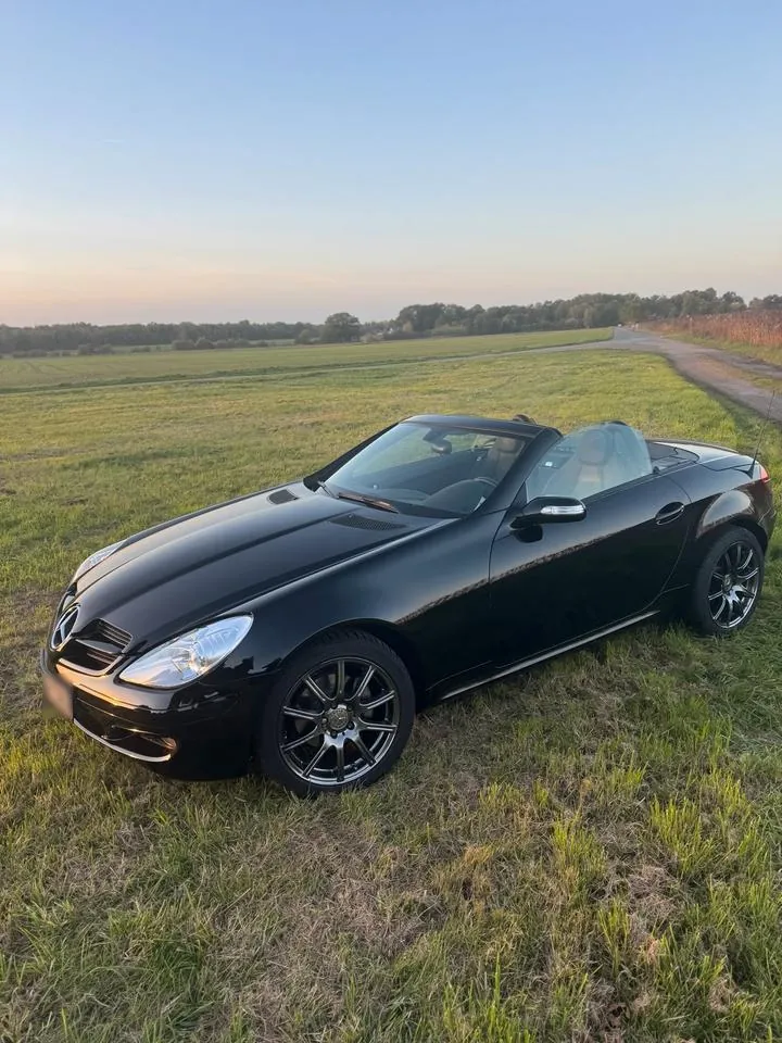 Mercedes-Benz Slk Roadster