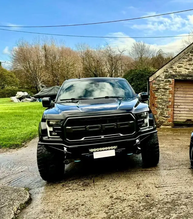Ford F-150 2018 photo 3