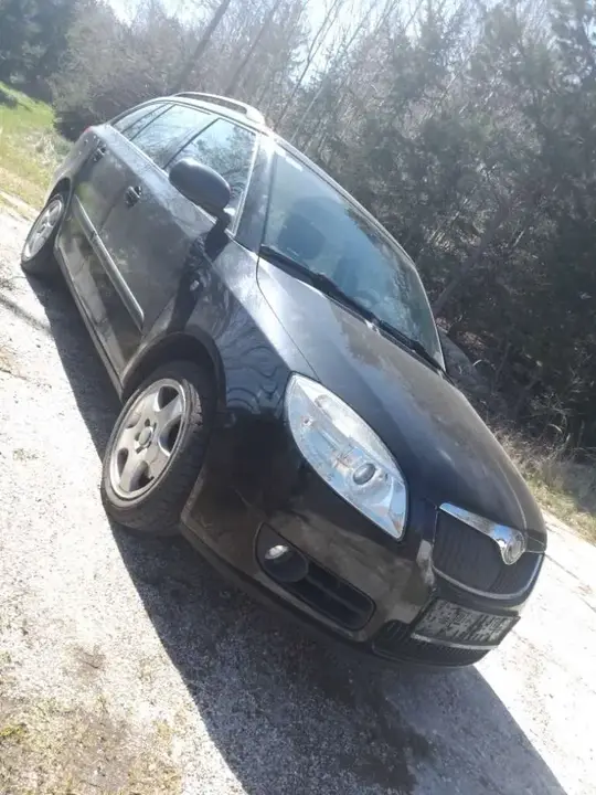 Skoda Fabia 2008 photo 2