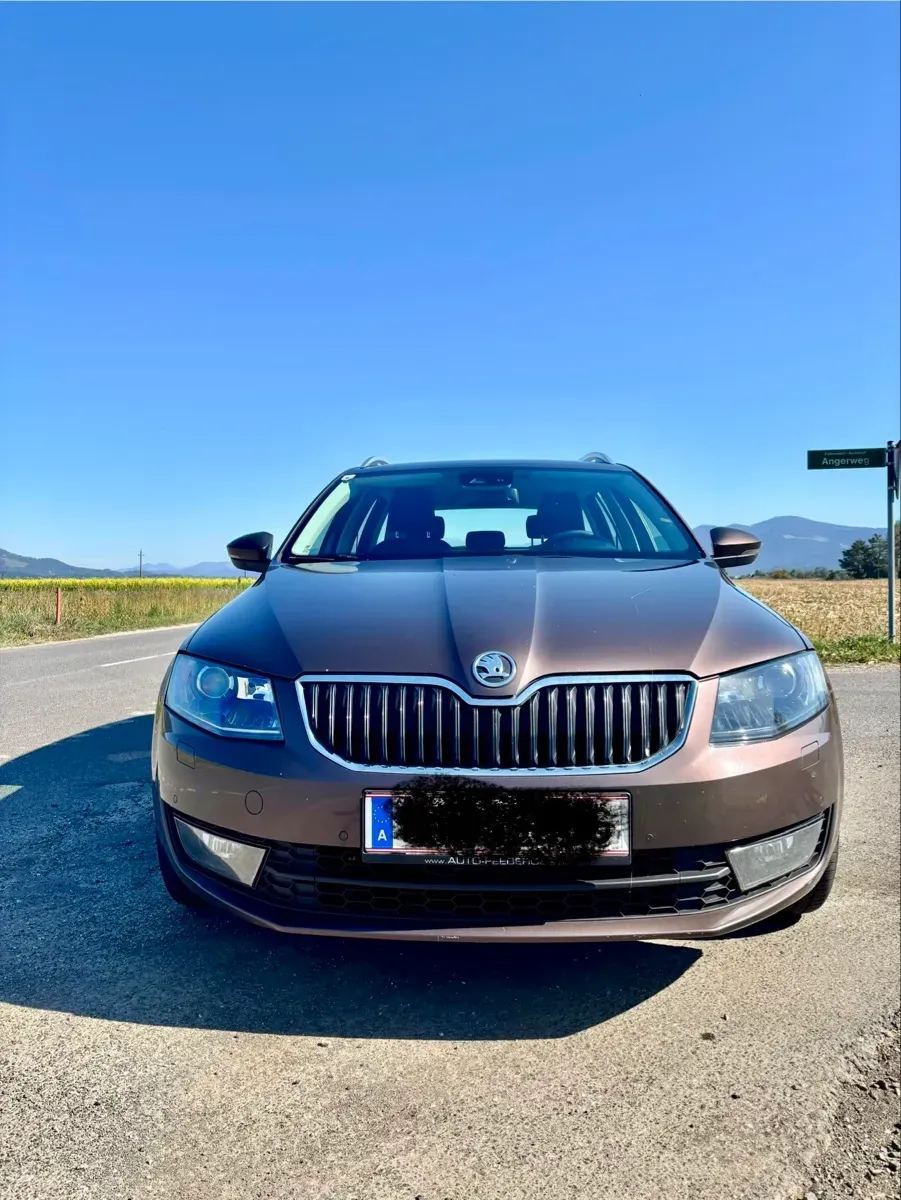 Skoda Octavia 2013 photo 2