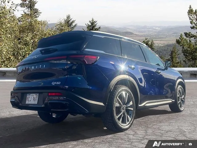 Infiniti Qx60 2024 photo 4