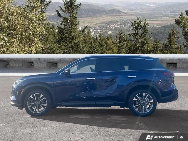 Infiniti Qx60 2024 photo 2