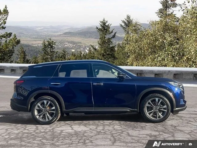 Infiniti Qx60 2024 photo 5