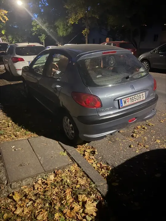 Peugeot 206 2005 photo 3
