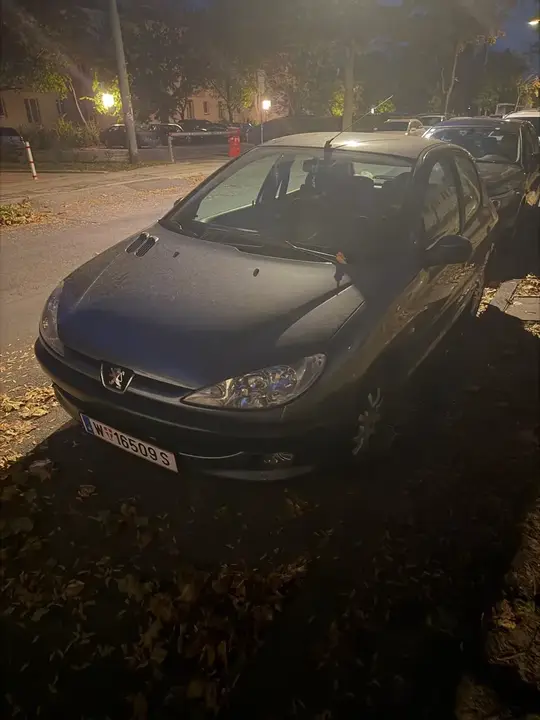 Peugeot 206 2005 photo 2