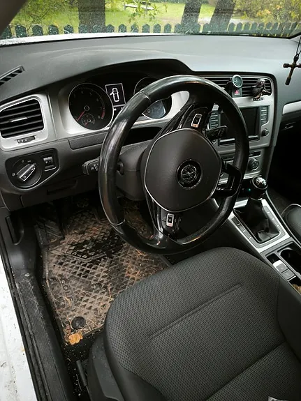 Volkswagen Golf Vii 2016 photo 5