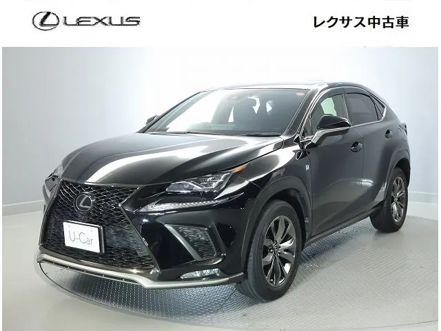 Lexus Nx 2019 photo 2
