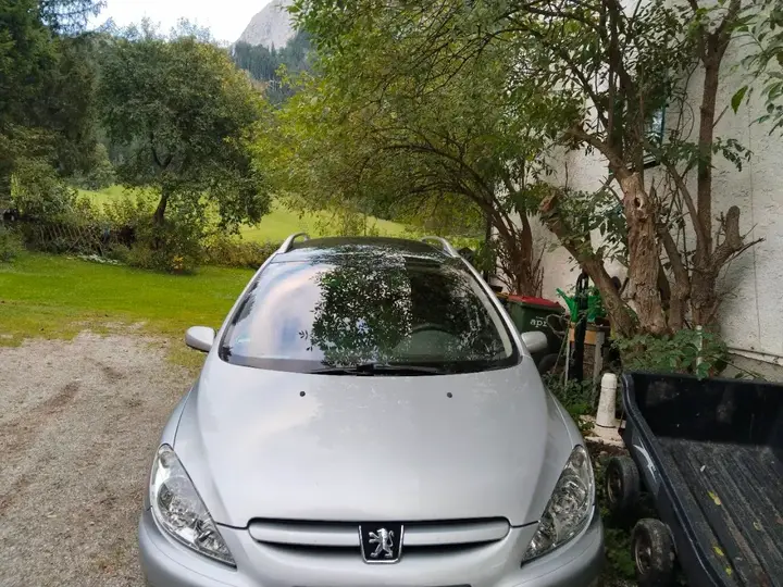 Peugeot 307 2004 photo 2