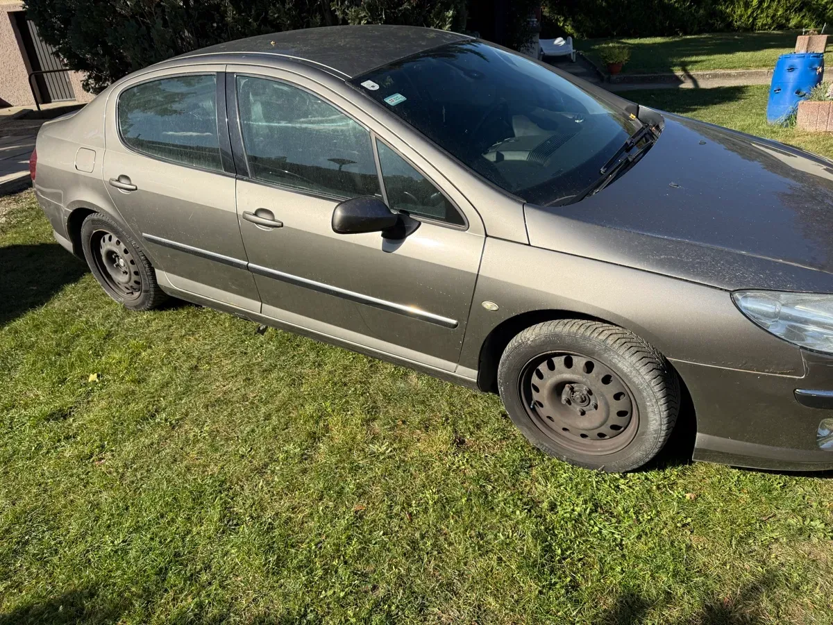 Peugeot 407 2005 photo 2