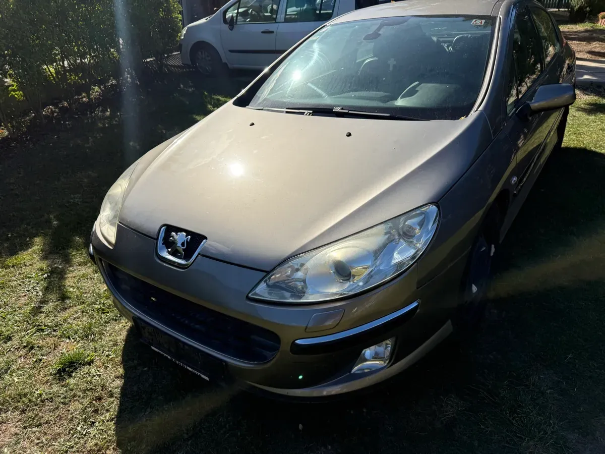 Peugeot 407