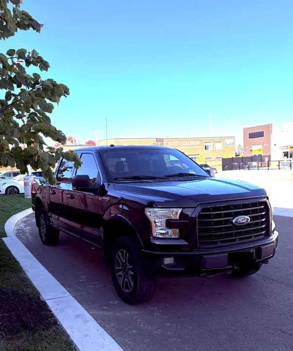 Ford F-150 2016 photo 2
