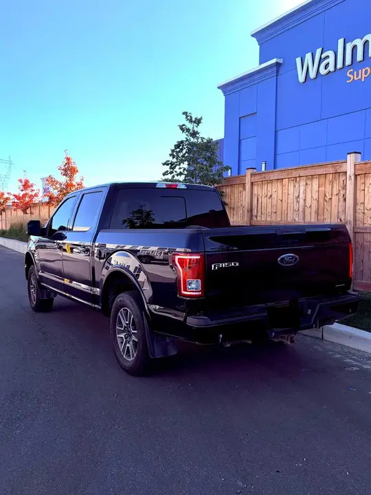 Ford F-150 2016 photo 3